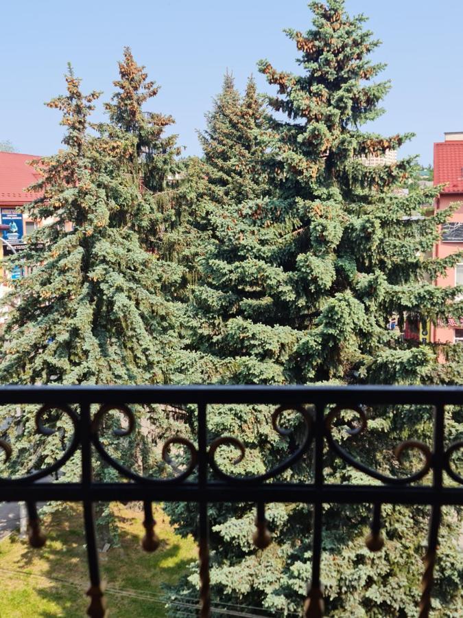 Hotel Villa Sofia Truskavets Luaran gambar
