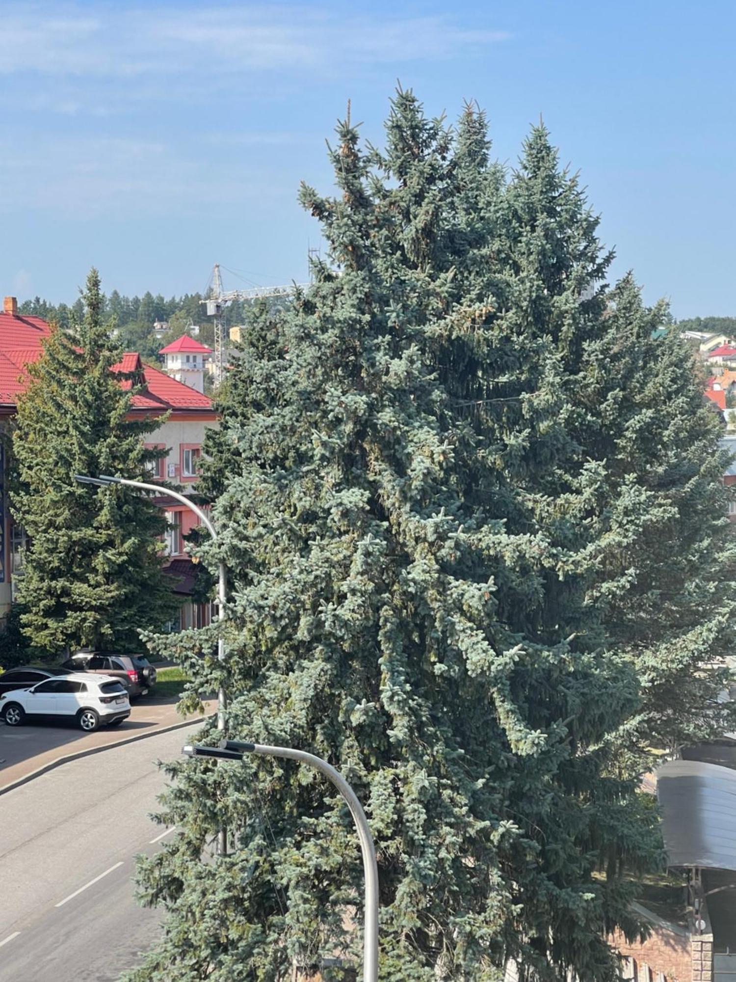 Hotel Villa Sofia Truskavets Luaran gambar